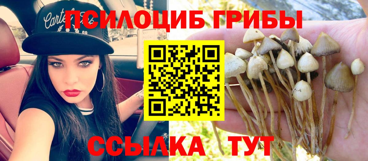 Галлюциногенные грибы Magic Shrooms Карачаевск