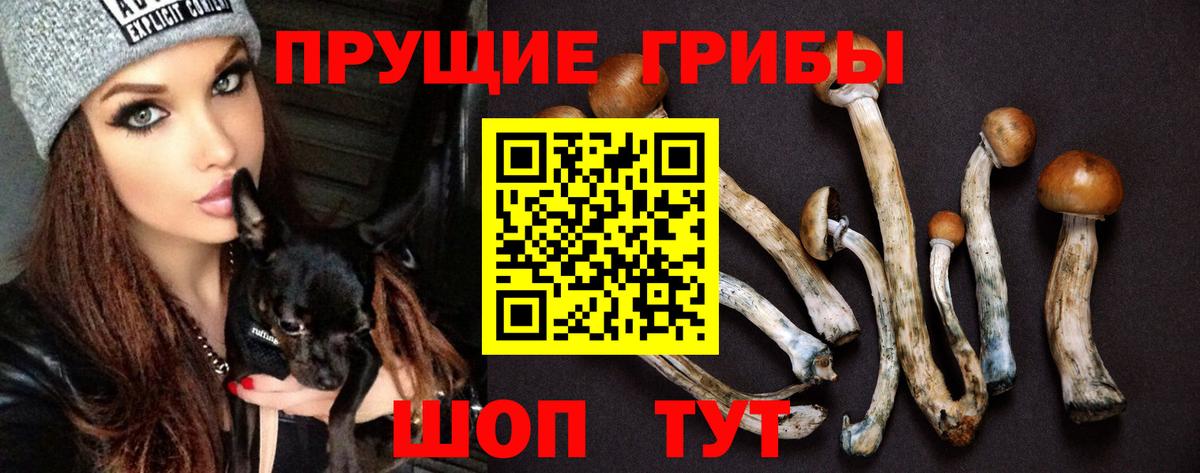 Карачаевск  Псилоцибиновые грибы ЛСД  Вход с VPN 